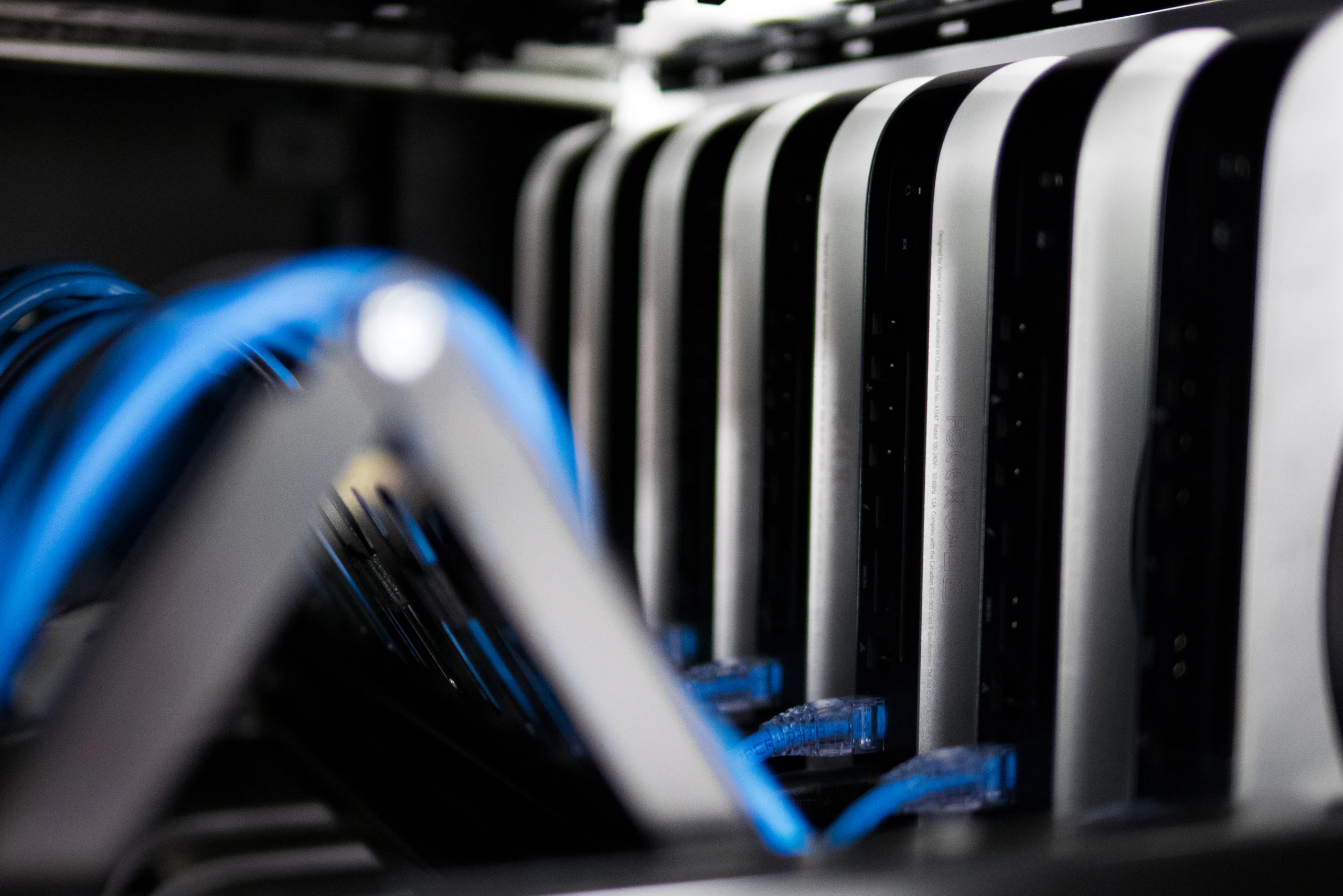 Close-up of blue network cables plugged into server hardware