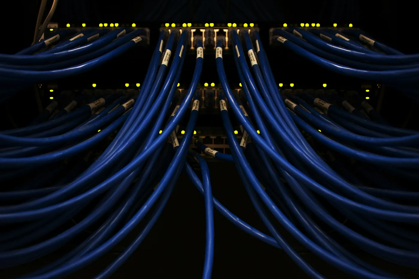 Rows of blue network cables connected to a switch